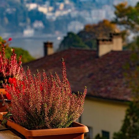 Villa Olmo CozyStay Côme Esterno foto